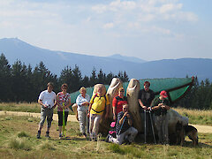 Bayerischer Wald