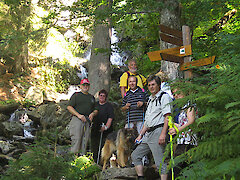 Bayerischer Wald