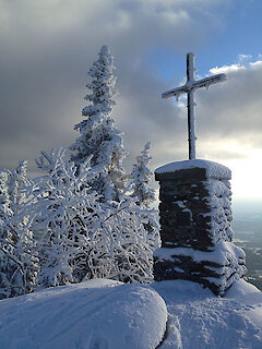 Bayerischer Wald