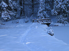 Bayerischer Wald