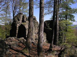 Bayerischer Wald